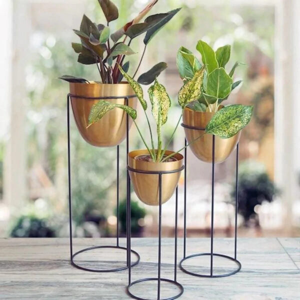 Egg Shaped Fancy Planters with Stand (Set of 3)