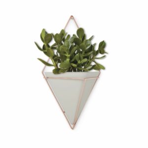 Iron Wall Hanging Planters (Set of 2)