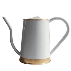 Metal Watering can for Plants