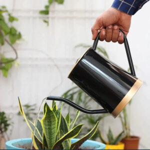 Metal Watering can for Plants